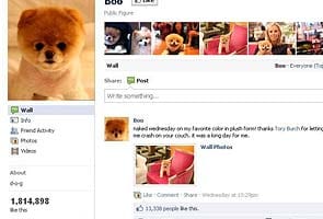 A dog with nearly 2 mn Facebook fans