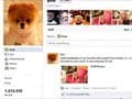 A dog with nearly 2 mn Facebook fans