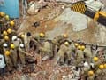 Bangalore marriage hall collapses, teen girl dies