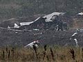 Russian air crash probe: Engines running till the end