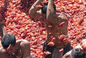 Spanish town painted red in annual tomato war