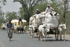 Five farmers commit suicide in Vidarbha