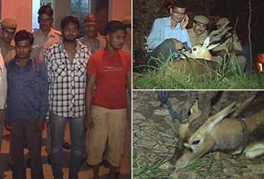 Four arrested for trying to sell blackbuck in Delhi