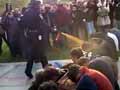 Occupy Wall Street: Pepper spray video sparks outrage