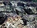 Report on illegal Goa mining presents crisis for Chief Minister