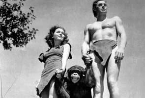 Chimp who starred in Tarzan movies dies at age 80