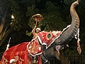 Permission to allow Kerala elephants into city