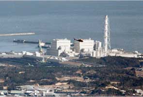 Japan studies flora and fauna near Fukushima plant