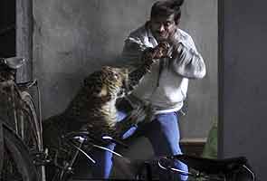 Leopard kills man, scalps another in Guwahati