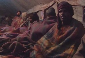 North India death toll due to cold reaches 142