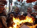 North India continues to reel under severe cold, toll rises to 165