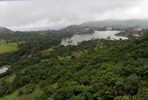 Forest cover in India down by 367 sq km: Environment Ministry