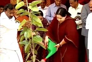 Jayalalithaa revives 8000 crore thermal power project
