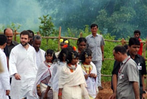 Rahul's charisma put to test as Amethi goes to polls today