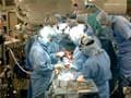 Death-row inmates 'main source of organs in China'