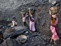 No need for clarification, says Prime Minister; auditor says coal report was 'pre-final draft'