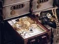 2.5 kg of gold coins robbed from finance firm staff