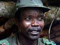 Kony's days of freedom are 'numbered': US lawmaker