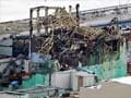 Japan rushes to restart reactors to avoid total shutdown