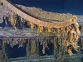 Human remains at Titanic shipwreck site: Officials