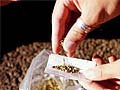 Cannabis worth Rs 30 lakh seized in Warangal