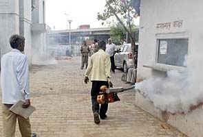 Seven hospitalised with symptoms of dengue