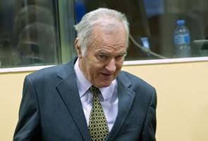 Mladic war crimes trial halted over 'irregularities'