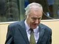 Mladic war crimes trial halted over 'irregularities'
