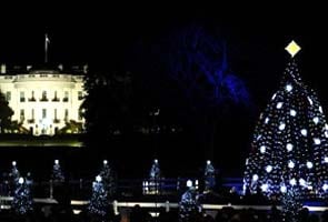 National Christmas Tree has died near White House