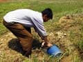 North Korean farmers cite grave drought, aid unlikely
