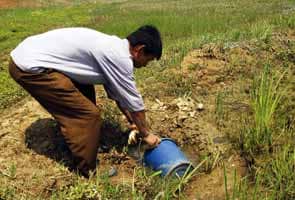 North Korean farmers cite grave drought, aid unlikely 