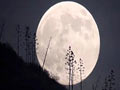 Moon to be biggest, brightest on May 6