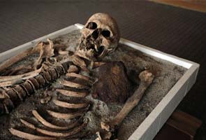 'Vampire' skeleton goes on display in Bulgaria