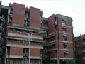 Decision to hold common engineering test is breach of trust: IIT-Kanpur faculty