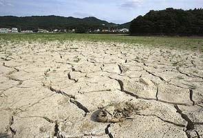 Both Koreas suffering worst drought in a century