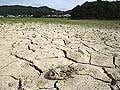Both Koreas suffering worst drought in a century