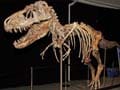US Govt led by Preet Bharara files lawsuit over Dinosaur!