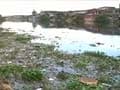 India's water bodies dying a slow death