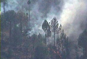 Major forest fire at LoC spreads to minefield, triggers mine blasts