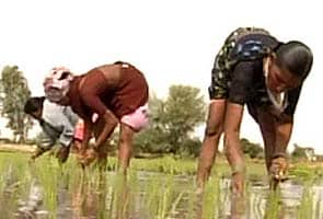 Karnataka performance in agriculture sector 'most alarming': Report