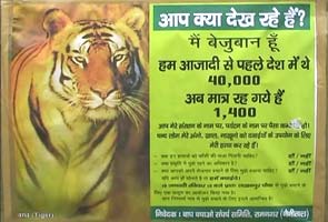 36 tiger deaths in 2 years: How well protected are our tiger reserves