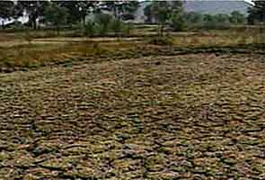 With drought looming large, government gears up with contingency plans