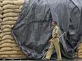 Government clears 2 million tonne of wheat exports to ease storage crunch