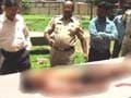 2 children die of snake bites at a govt shelter in Gondia