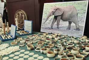 Indian businessman in New York pleads guilty to illegal ivory sales