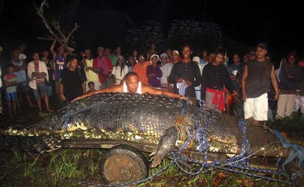 Guinness World Records: Philippines killer crocodile is largest in captivity