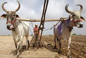 How poor monsoon can hit summer crops