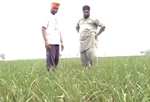 With 68 per cent below normal rainfall, Punjab on the verge of drought 