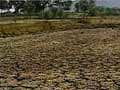 Not a drought, but drought like situation; Met confirms rain will be deficient