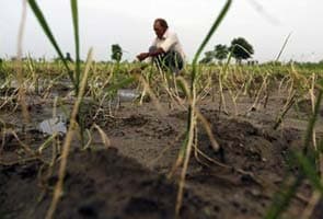 Good news for Tamil Nadu farmers: Karnataka releases water into Cauvery